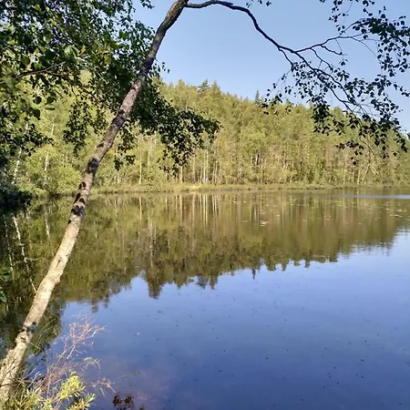Apartamento Mikkelissa, Silvasti