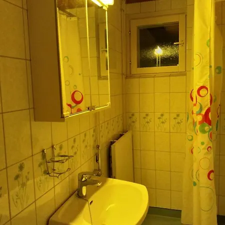 Διαμέρισμα Mikkelissa, Silvasti